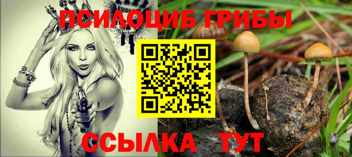 Галлюциногенные грибы GOLDEN TEACHER Кыштым